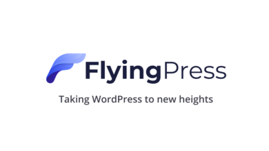 FlyingPress